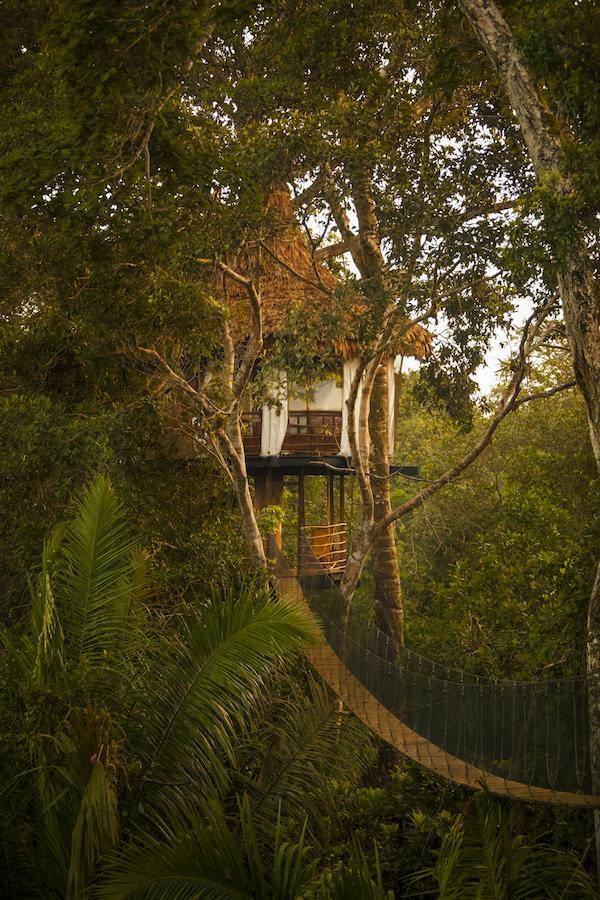 Treehouse Lodge Yucuruche Exterior photo