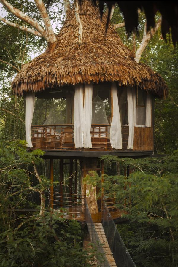 Treehouse Lodge Yucuruche Exterior photo
