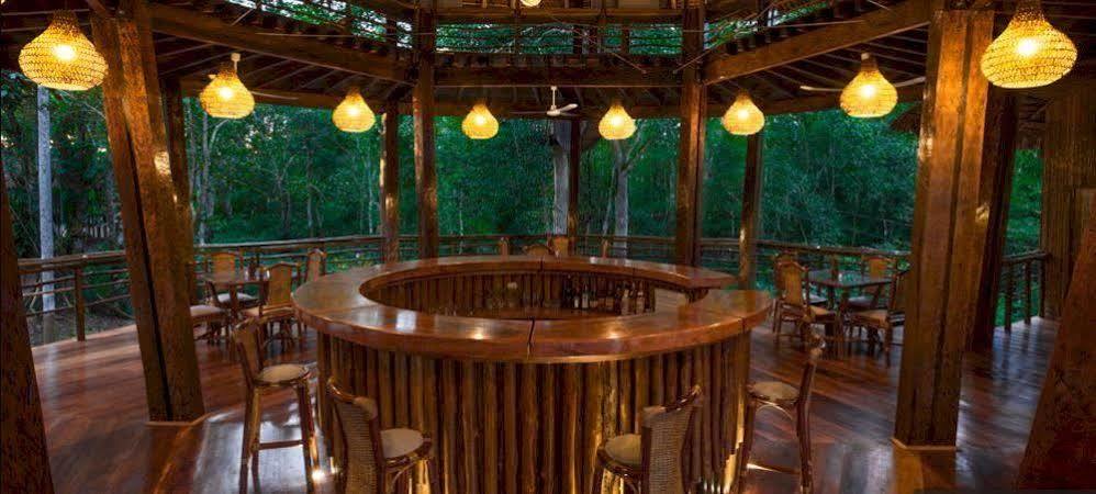 Treehouse Lodge Yucuruche Exterior photo
