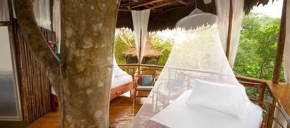 Treehouse Lodge Yucuruche Exterior photo