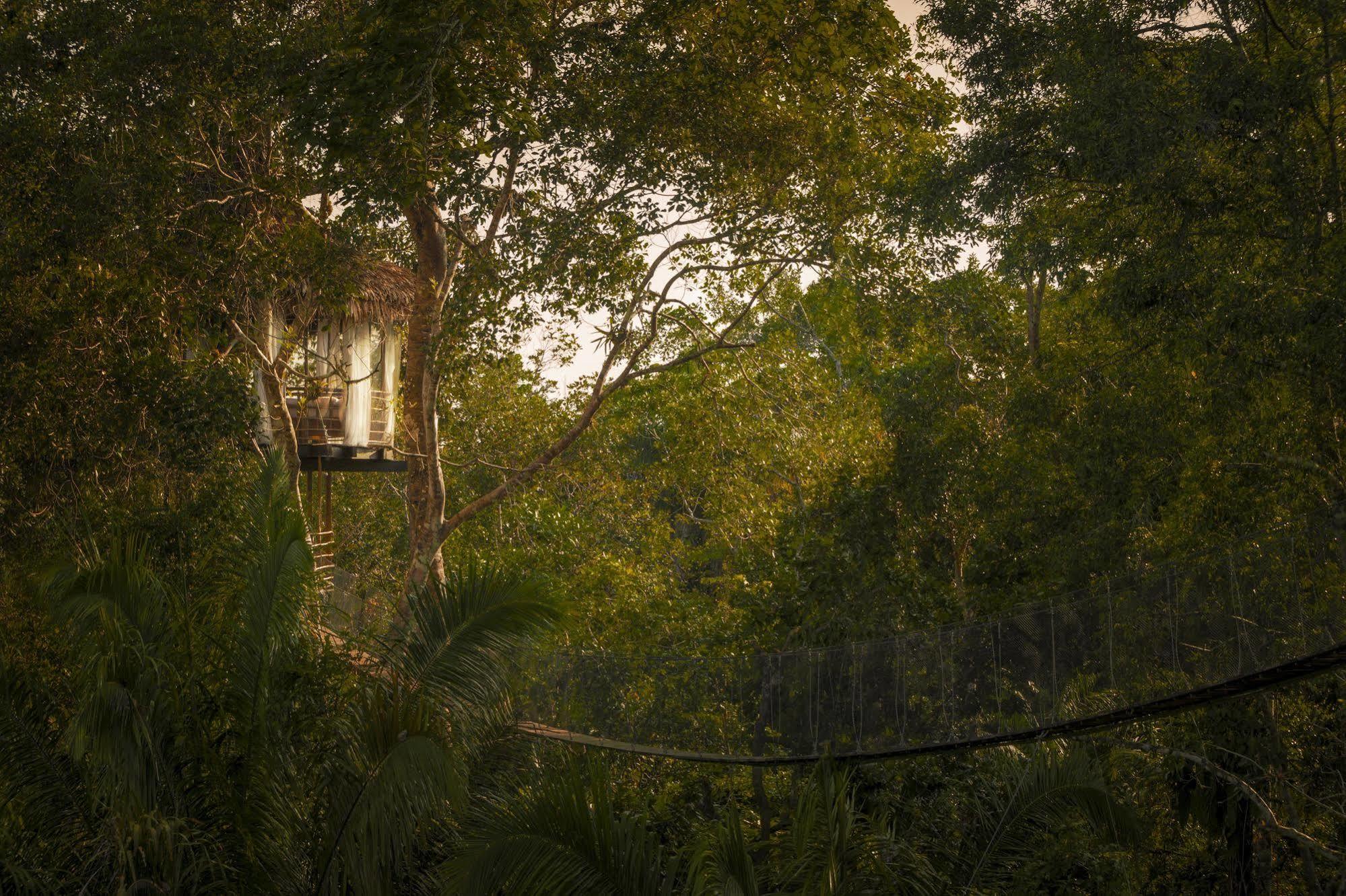 Treehouse Lodge Yucuruche Exterior photo